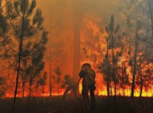 Drone Interferes Flight During Wildfire Danger in AR