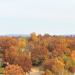 Drones Over Arkansas header