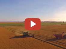 Arkansas Rice Harvest by Air