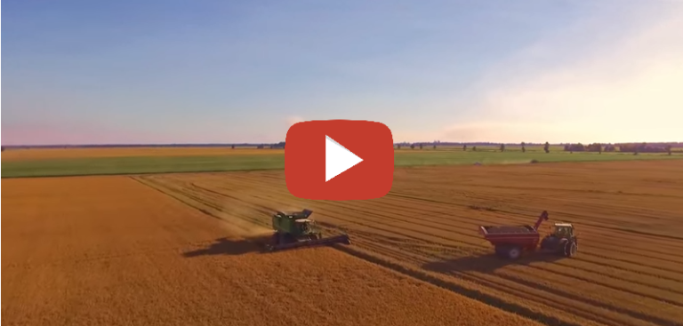 Arkansas Rice Harvest by Air