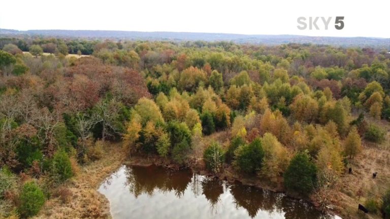 Fall Colors With SKY5 Drone