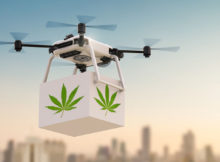 Drone Delivers Marijuana Into Georgia Prison