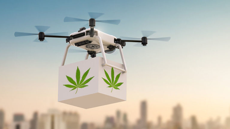 Drone Delivers Marijuana Into Georgia Prison